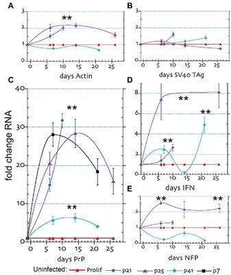 Reduced Expression of Prion Protein With Increased Interferon-β Fail to Limit Creutzfeldt-Jakob Disease Agent Replication in Differentiating Neuronal Cells